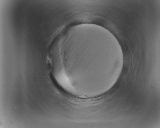 X0000067360023200604212039