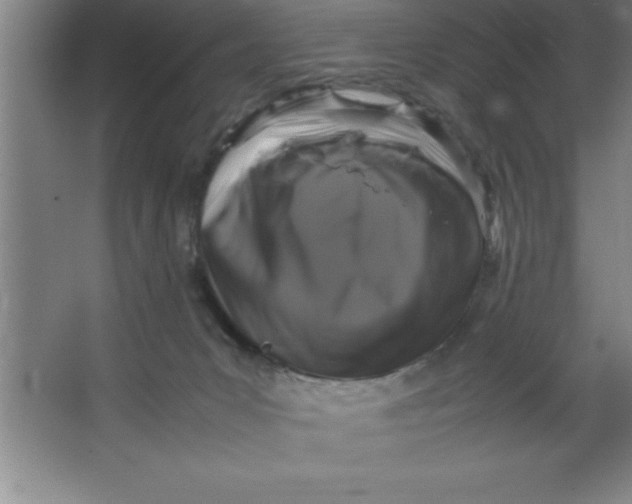 X0000067360031200604212039