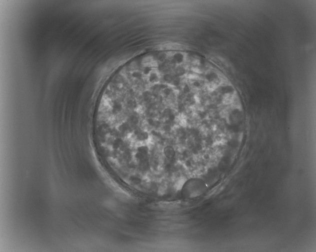 X0000067360049200604212038