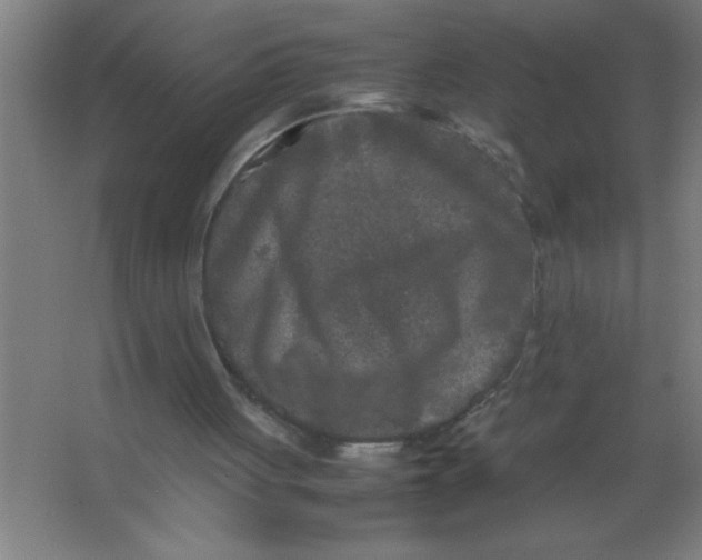 X0000067360051200604212038