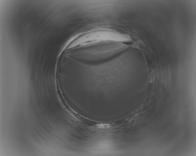 X0000067360052200604212038