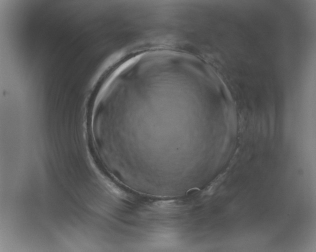 X0000067360054200604212038
