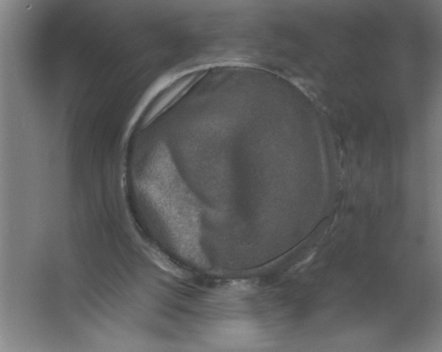 X0000067360056200604212038
