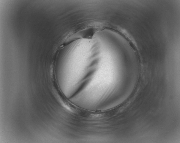 X0000067360057200604212038