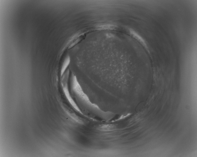 X0000067360059200604212038