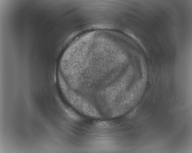 X0000067360062200604212038