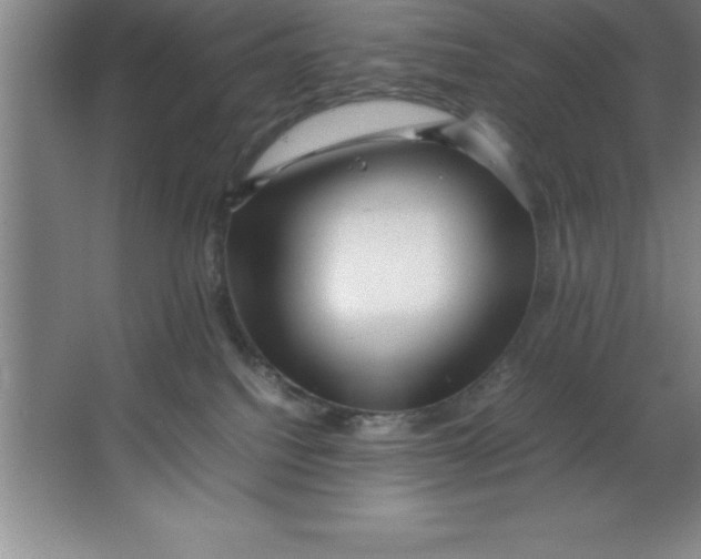 X0000067360088200604212039