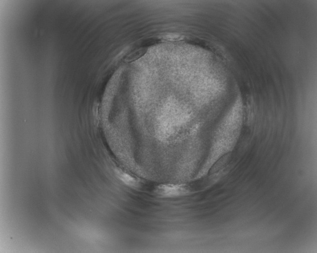 X0000067360093200604212039