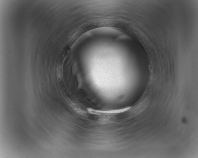 X0000067360096200604212039
