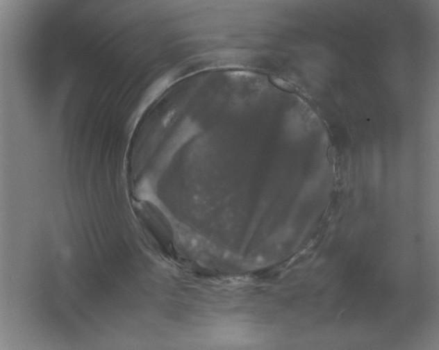 X0000067360099200604212038