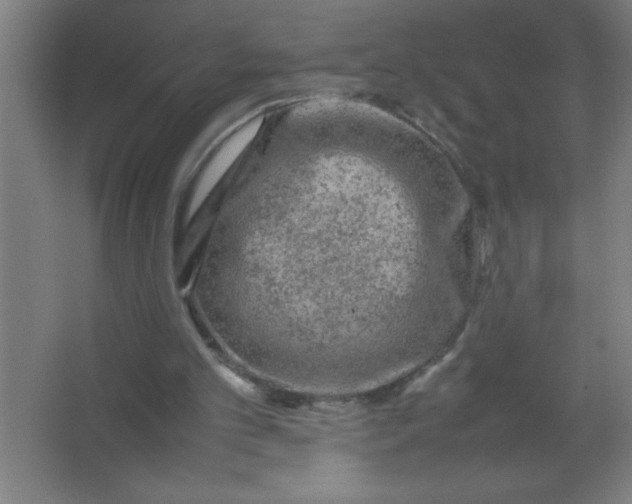 X0000067360101200604212038