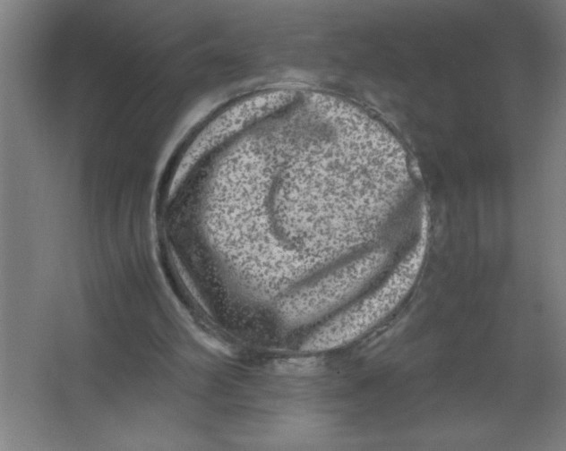 X0000067360102200604212038