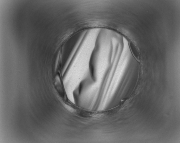 X0000067360105200604212038