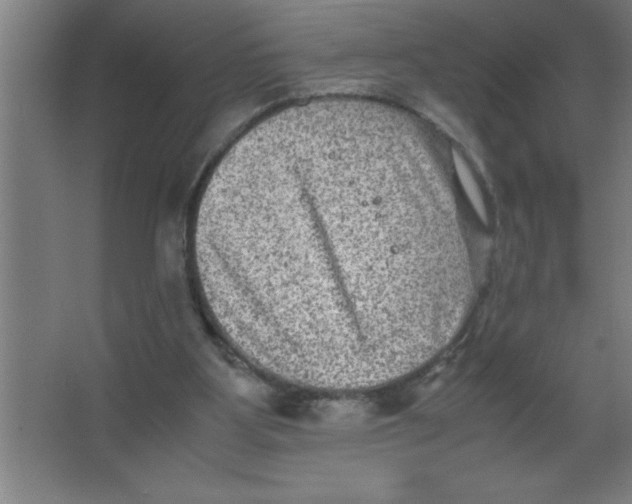 X0000067360107200604212038