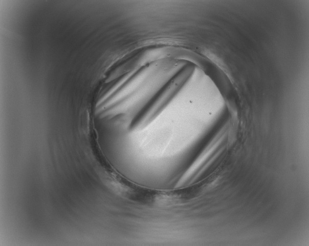 X0000067360109200604212038