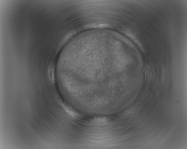 X0000067360110200604212038