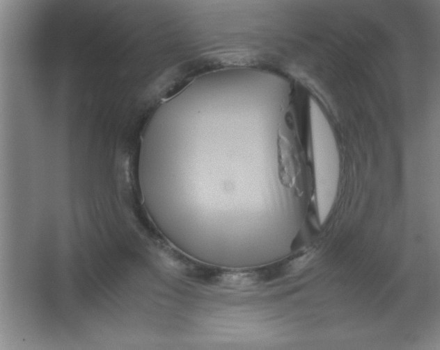 X0000067360117200604212038