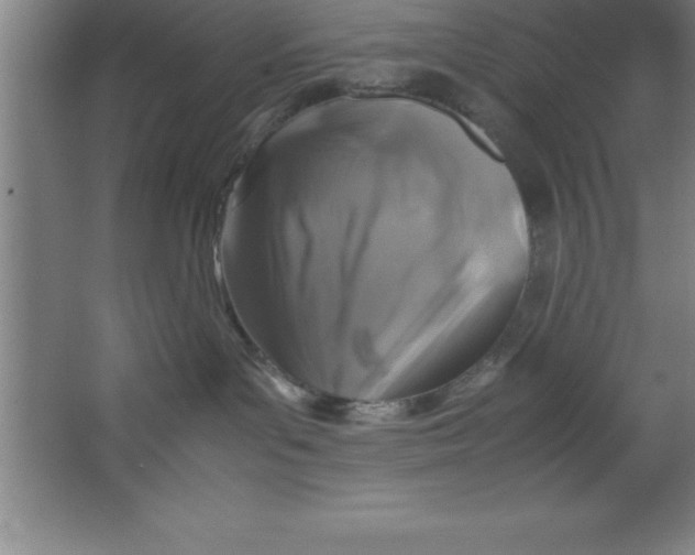 X0000067360143200604212037