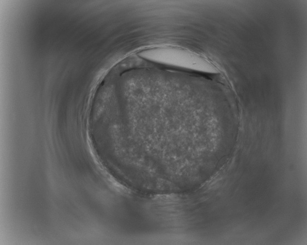 X0000067360145200604212036