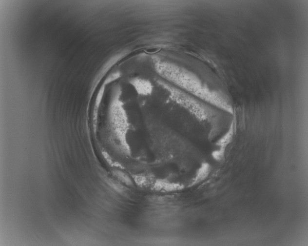 X0000067360147200604212036