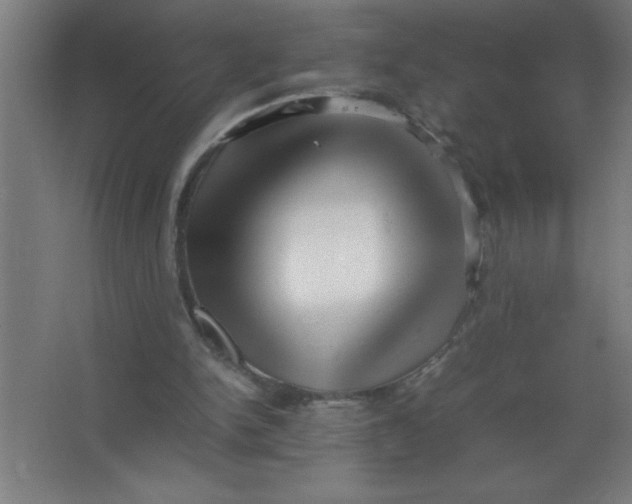 X0000067360150200604212036