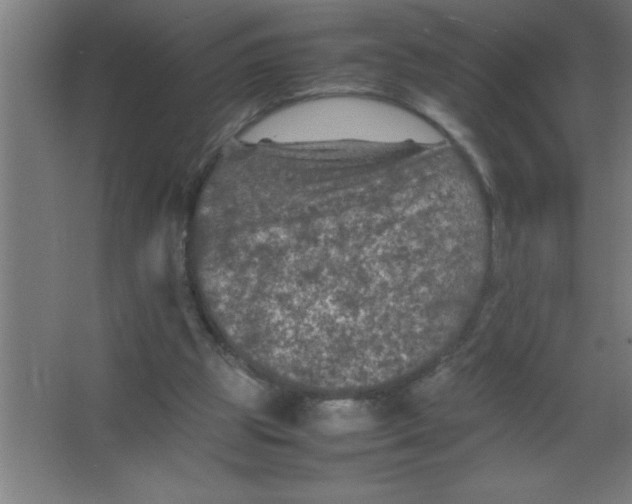 X0000067360153200604212037