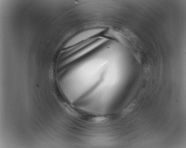 X0000067360158200604212037