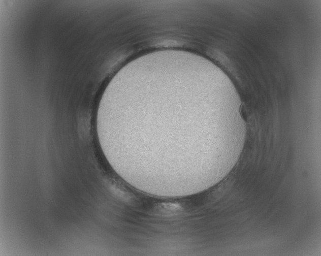 X0000067360159200604212037