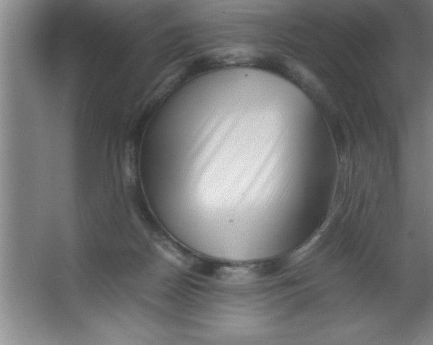 X0000067360170200604212037