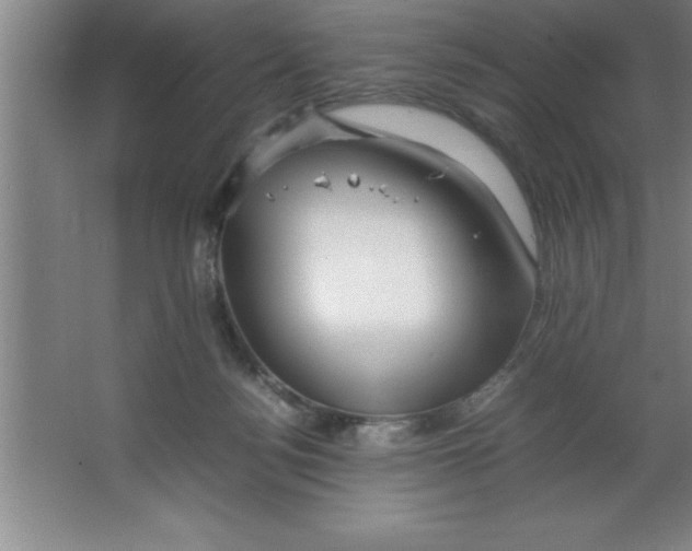 X0000067360172200604212037