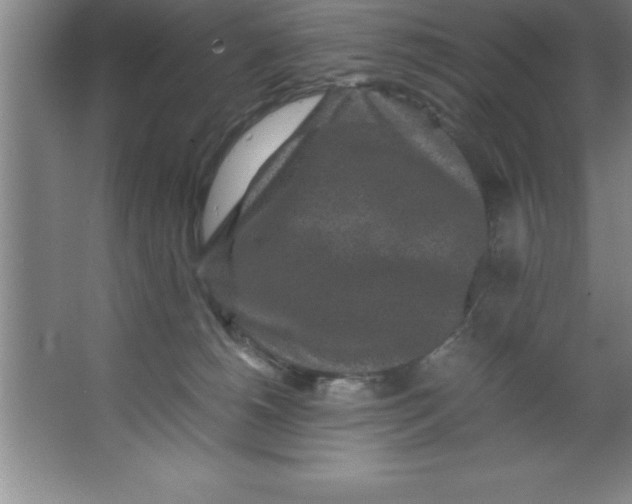 X0000067360180200604212037