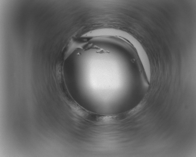 X0000067360184200604212037