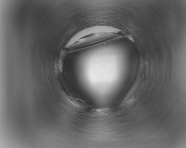 X0000067360188200604212037