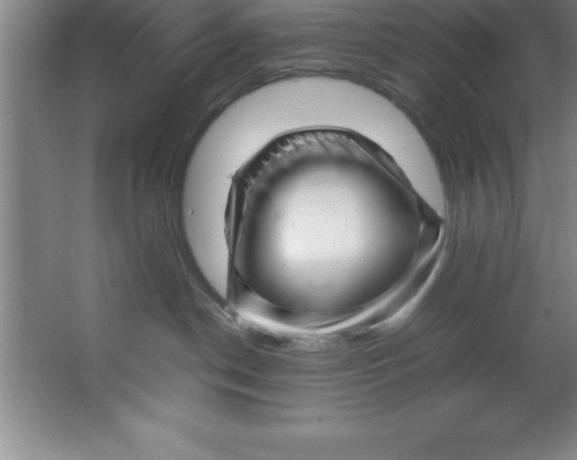 X0000067360190200604212037