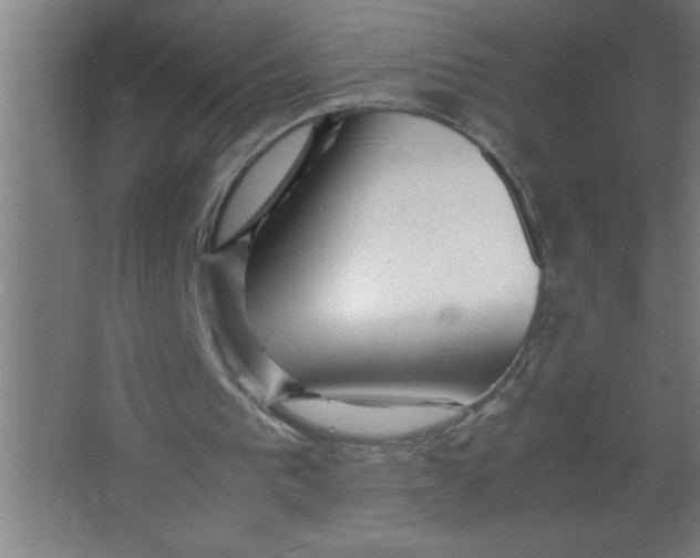 X0000067360193200604212036