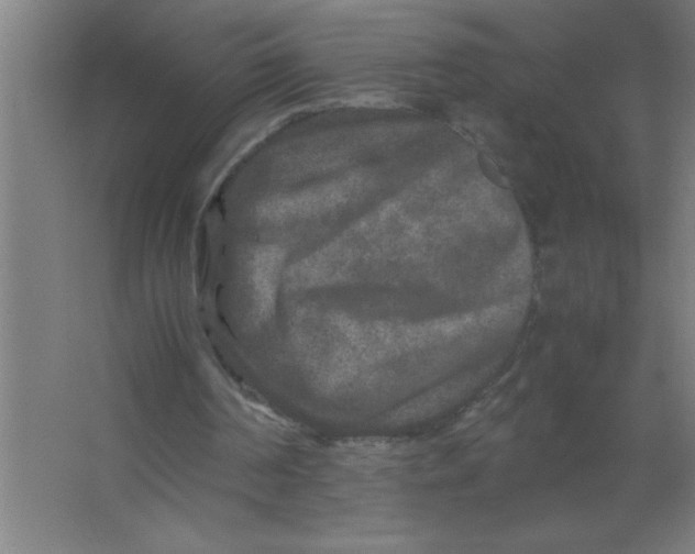 X0000067360194200604212036