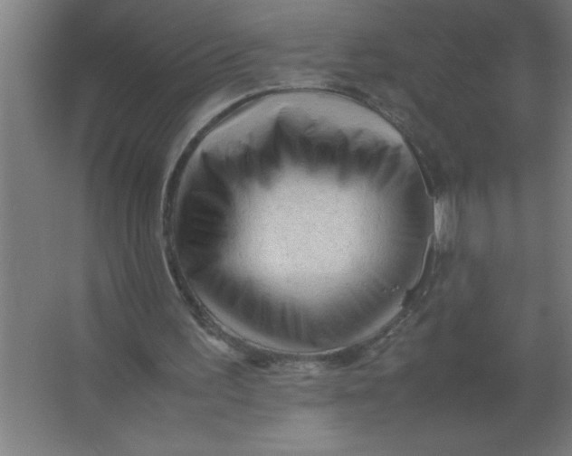 X0000067360195200604212036