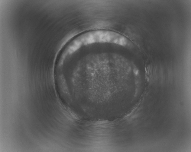 X0000067360196200604212036