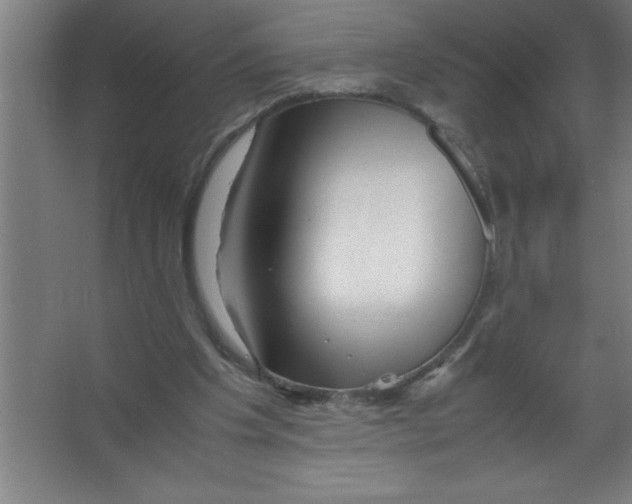 X0000067360201200604212036