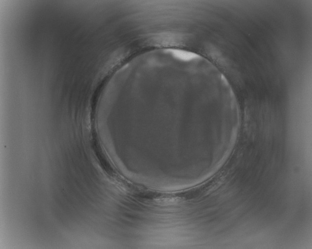 X0000067360202200604212036
