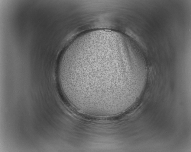 X0000067360203200604212036