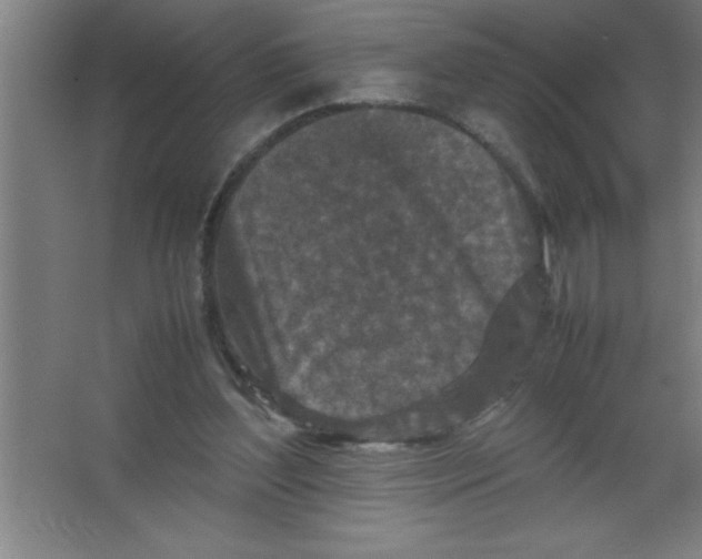 X0000067360204200604212036
