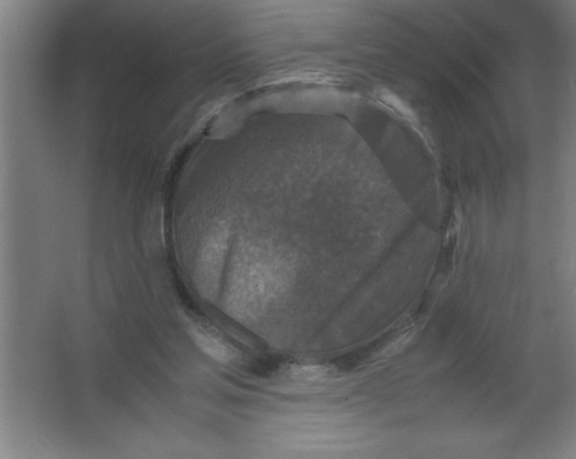 X0000067360205200604212036