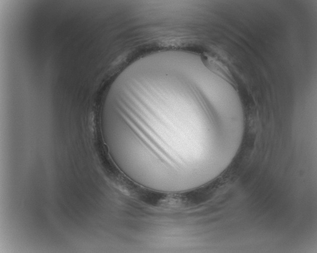 X0000067360211200604212036