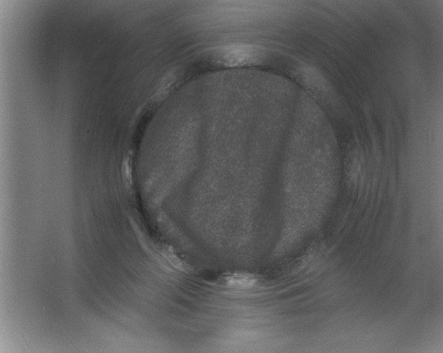 X0000067360214200604212036