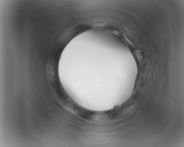 X0000067360215200604212036