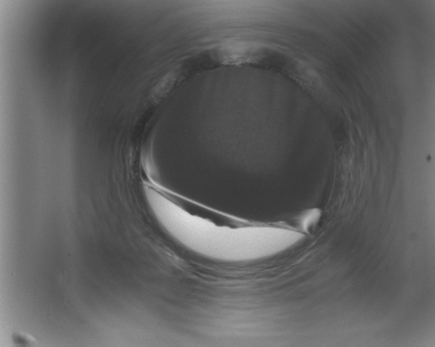 X0000067360219200604212036