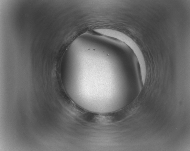 X0000067360221200604212036