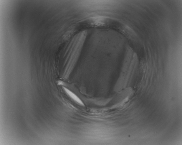 X0000067360223200604212036