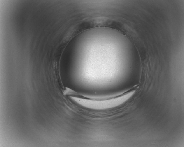 X0000067360225200604212036